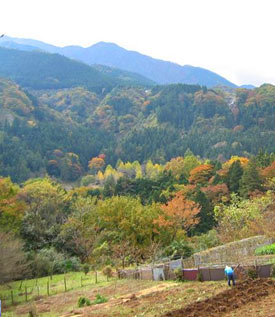 小春日和の一日、都会の喧噪を忘れて自然に触れる里山風景