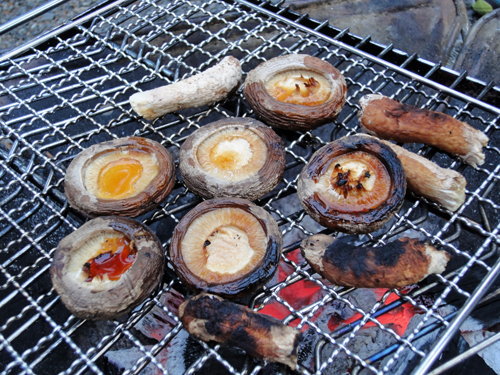 シイタケの焼き物